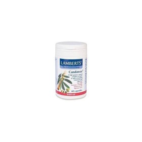 LAMBERTS Candaway 60tabs