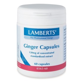 LAMBERTS - Ginger 120mg | 60 caps