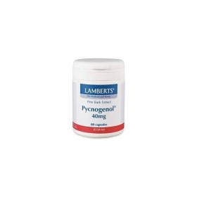 LAMBERTS Pycnogenol 40mg 60caps