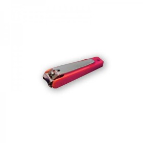 Beauty Spring Nickel 2089
