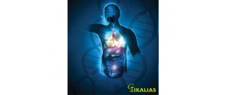 Τα Προβιοτικά, οι Βιταμίνες και τα Ιχνοστοιχεία Ενισχύουν τον Οργανισμό