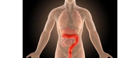 Κολίτιδα και Ορθοκολίτιδα – Οι Παθήσεις του Παχέος Εντέρου