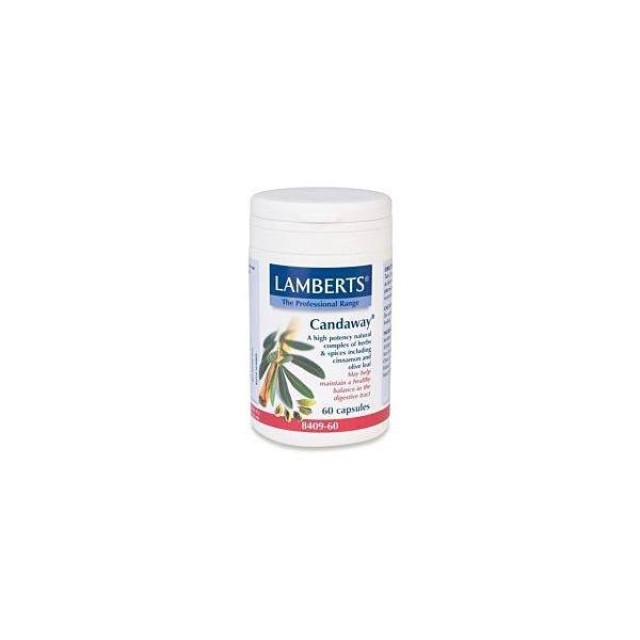 LAMBERTS Candaway 60tabs