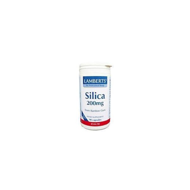 LAMBERTS Silica 90caps