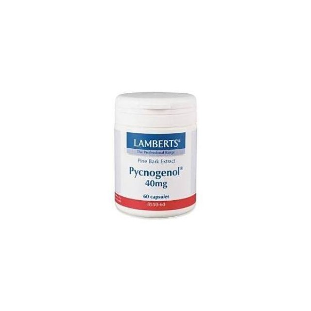 LAMBERTS Pycnogenol 40mg 60caps