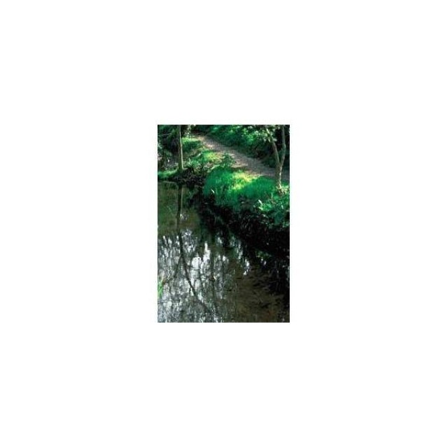 BACH REMEDIES Bach Rock Water 20 Ml